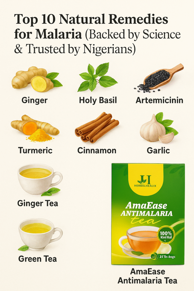 Top 10 Natural Remedies for Malaria in Nigeria (Backed by Science) - Herbal Healix