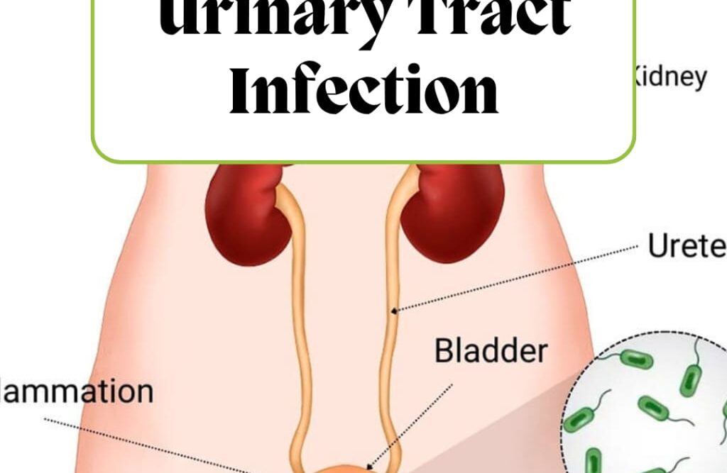 Urinary Tract Infection (UTI): Causes, Prevention, and Treatments In 2025